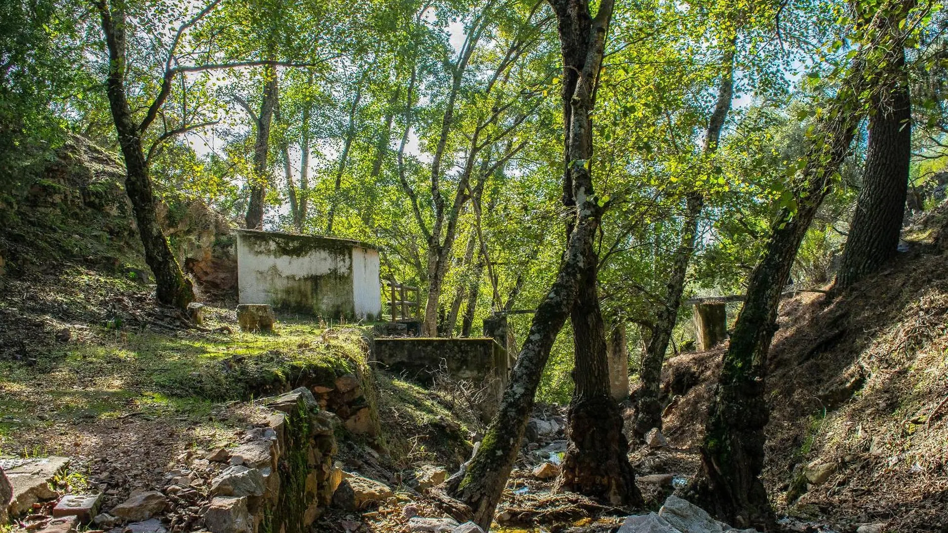 Villamaria, Alma De Despenaperros Miranda del Rey 0*,  Spain