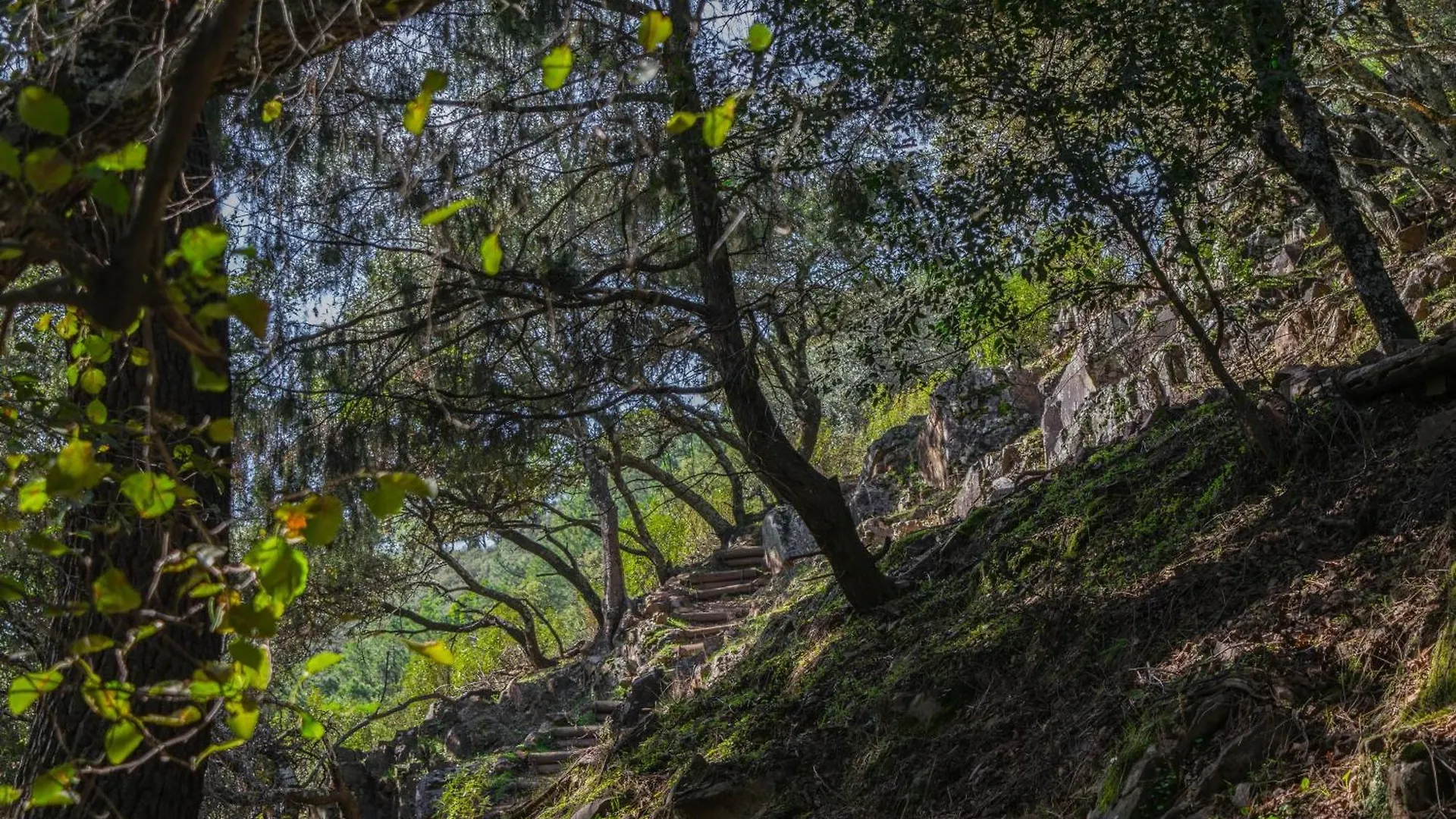 Villamaria, Alma De Despenaperros Miranda del Rey