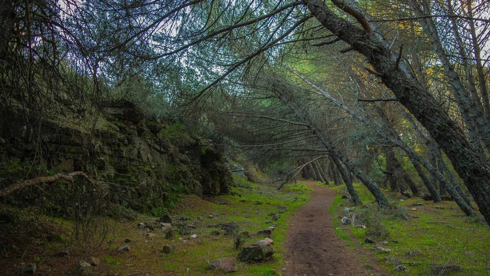 Villamaria, Alma De Despenaperros Miranda del Rey 度假居